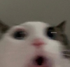 avatar_mumudesuyo